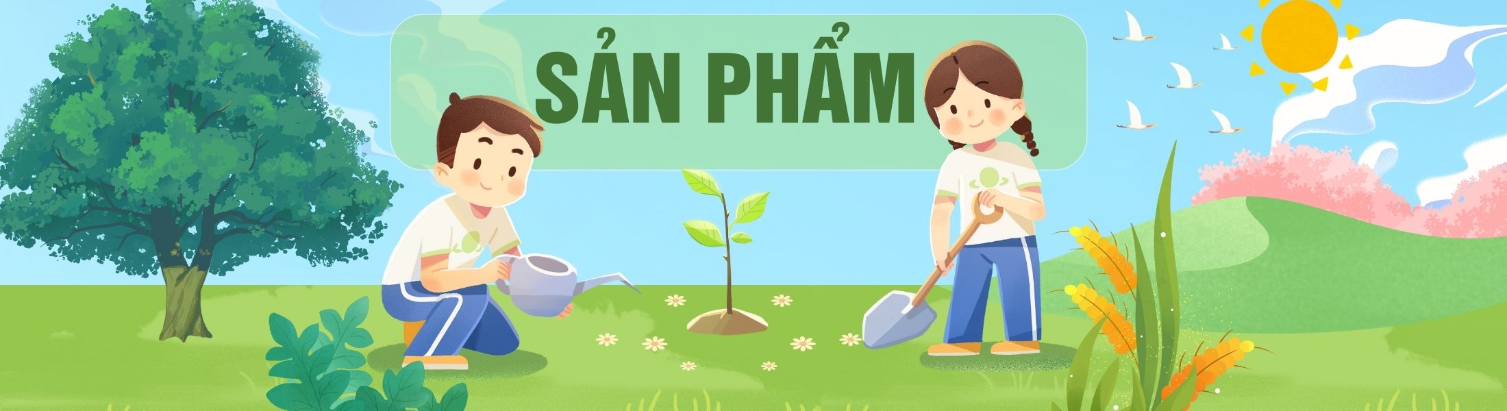 banner-san-pham